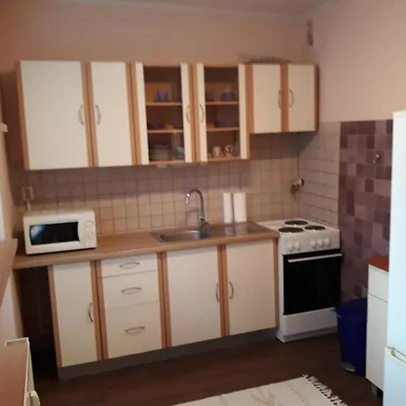 2-room Apart With Balcony And Loggia Apartment