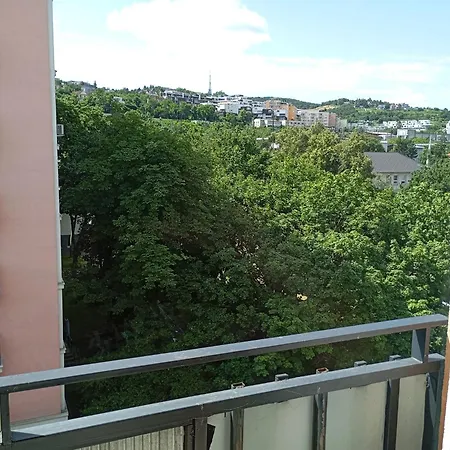 2-room Apart With Balcony And Loggia Apartment